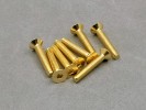 3x18mm Gold Plated Hex. Countersink Screw (8Pcs)
